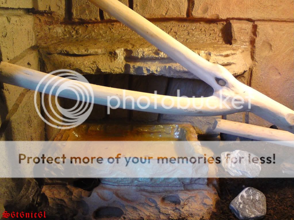 Homemade snake hides!! Reptile Forums